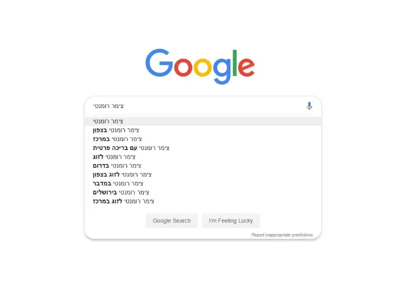 צילום מסך של חיפוש גוגל
